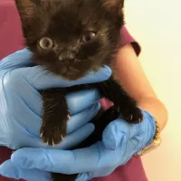Missy 0403/25