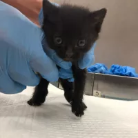 Missy 0403/25