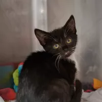 Marley 0408/25
