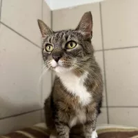 Bibi 0491/25