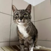Bibi 0491/25