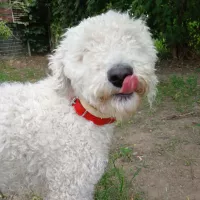 Coco 0516/25