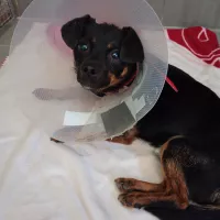 Bruno 0517/25