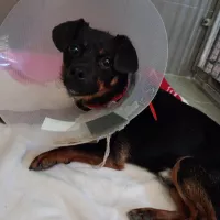 Bruno 0517/25