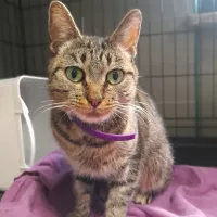 Betty 0563/25