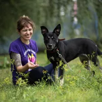 Koda 0589/25