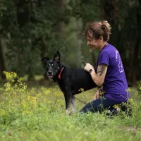 Koda 0589/25