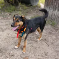 Nelly 0609/25