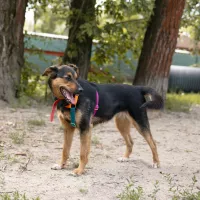 Nelly 0609/25