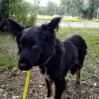 Zorka 0671/25