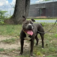 Ozzy  0702/25