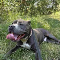 Ozzy  0702/25