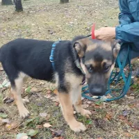 Loki 0844/25