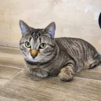 Milo 0821/24