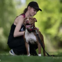 Suzi 0092/25