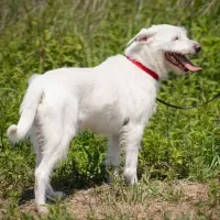 Finn 0414/25