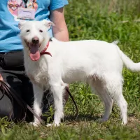 Finn 0414/25