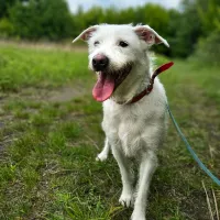 Finn 0414/25