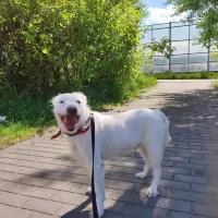 Finn 0414/25