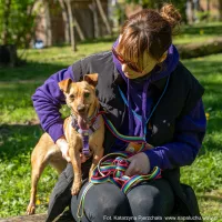 Ginny 0279/25