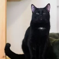 Rocky 0165/25