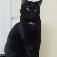 Rocky 0165/25