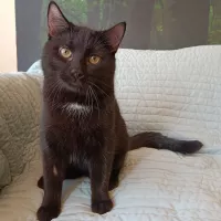 Rocky 0165/25