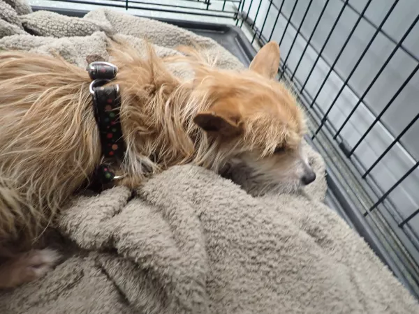 0107/26 Warszawa, pl. Inwalidów 