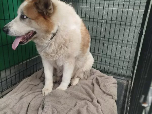 0099/26 ul. Wiosny ludów, Warszawa