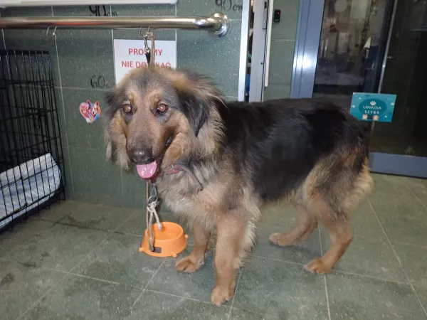 0121/26 Zajezdnia tramwajowa Służewiec