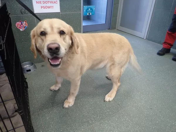 0106/26 Warszawa, ul. Garncarska, z lecznicy ul. Skalnicowa 