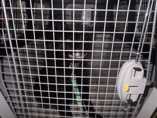 0123/26 Warszawa, ul. Estrady