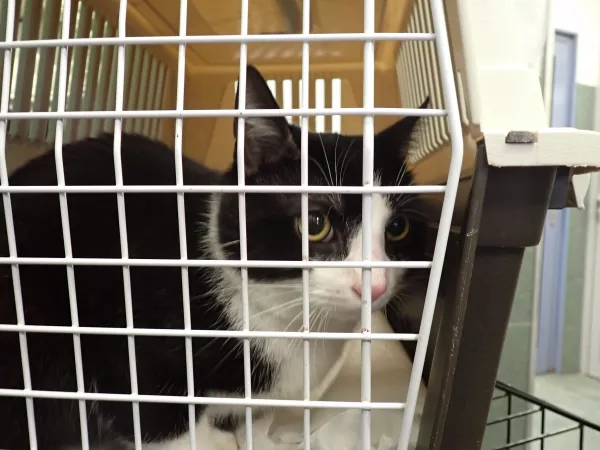 0048/26 Warszawa, ul. Modlińska