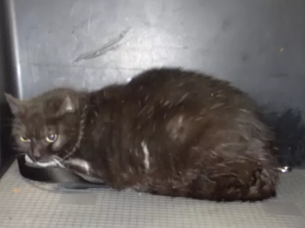 0049/26 Warszawa, ul. Krucza