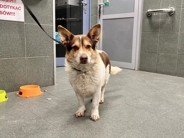 0116/26 Warszawa, Sady Żoliborskie