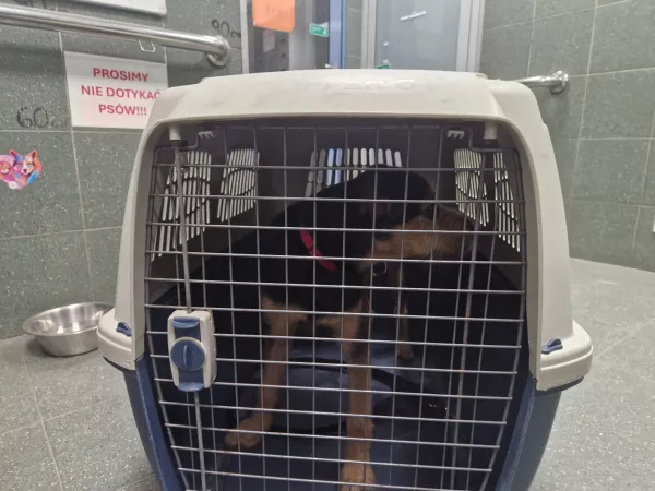 0125/26 Warszawa, ul. Popiełuszki