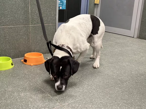 0117/26 Warszawa, al. Jerozolimskie/ul. Marszałkowska (metro Centrum)