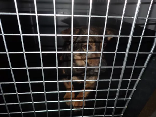 0124/26 Warszawa, ul. Estrady