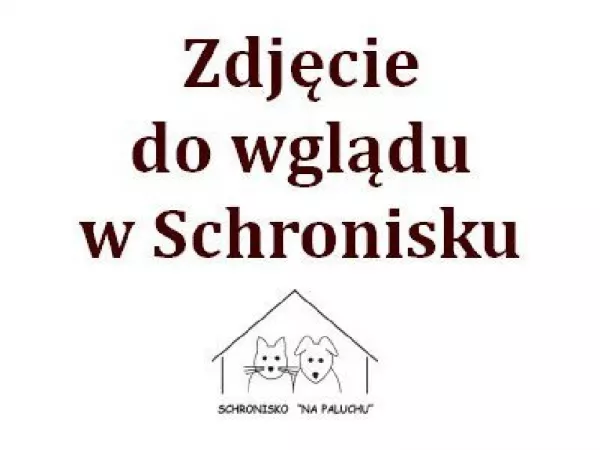 0520/24 Warszawa, teren Schroniska