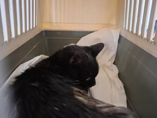 1003/25 Warszawa, ul. Darwina