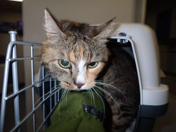 1023/25  Warszawa, ul. Dzielna