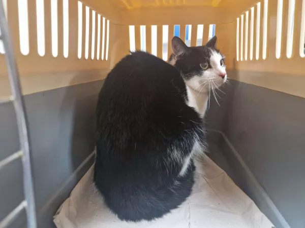 1027/25 Warszawa, ul. Wysockiego