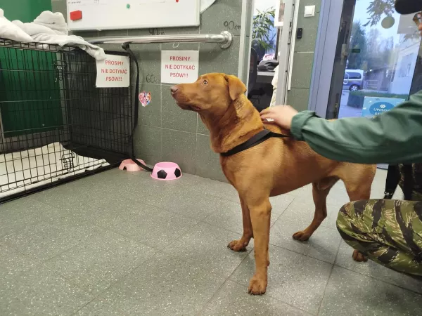 1049/25 Warszawa, ul. Leszczynowa