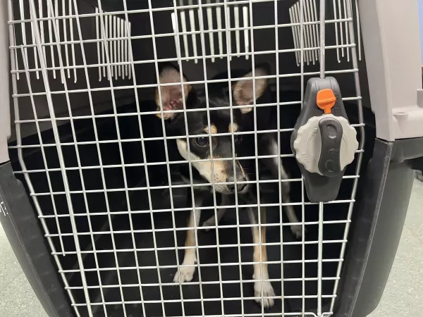 1050/25 Warszawa, Park Skaryszewski