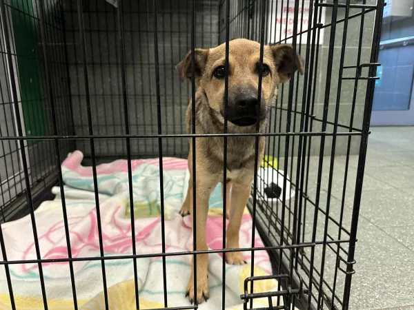 1057/25 Warszawa, ul. Godebskiego (lecznica)