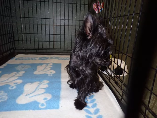 1059/25 Warszawa, Metro, Plac Wilsona