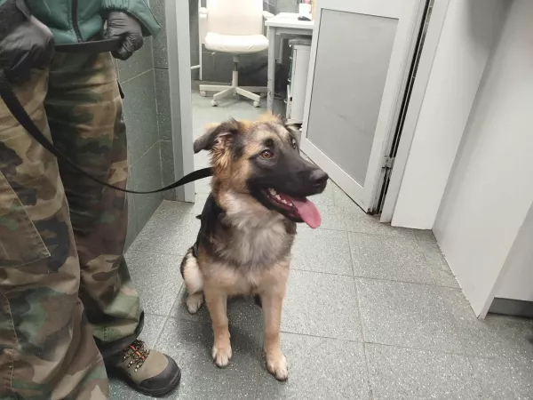 1060/25 Warszawa, ul. Jana Olbrachta