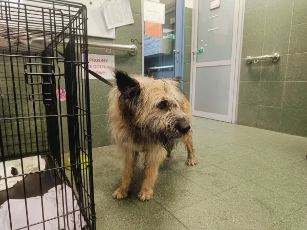 1071/25 Warszawa Wesoła, ul. Żeromskiego