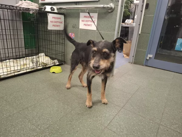 1076/25 Warszawa, Wał Międzyszyński