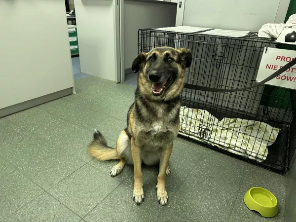 1081/25 Warszawa, ul. Cokołowa